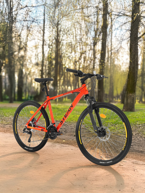 Велосипед горный Energy 1.0 Sport 26"