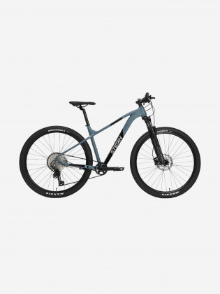 Велосипед горный Motion X Alt 29"