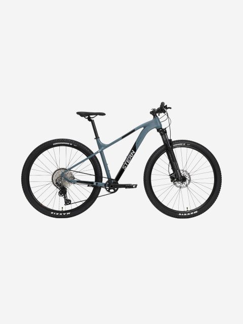 Велосипед горный Motion X Alt 29"