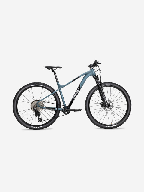 Велосипед горный Motion X Alt 29"