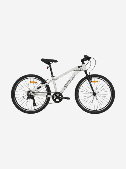 Велосипед для мальчиков Action Street 24"