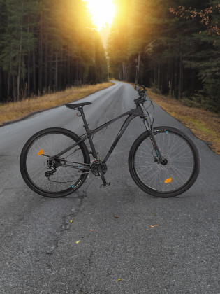 Велосипед горный Motion 2.0 29"